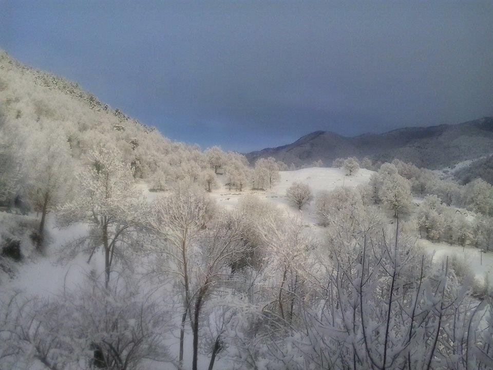 ホテルMas Regort Vallfogona De Riucorb エクステリア 写真